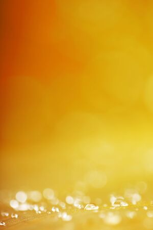 Background of a water drops and plantの写真素材