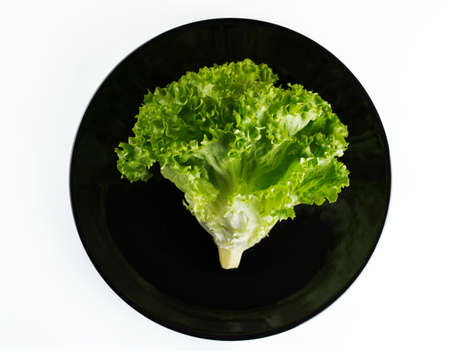 Healthy organic meal, fresh salad in a plate isolated on white backgroundの写真素材