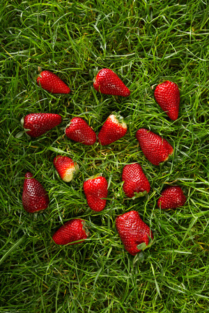 Wild red strawberries on the green grass, studio shotの写真素材