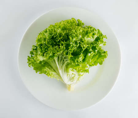 Fresh organic lettuce in plate isolated on white backgroundの写真素材