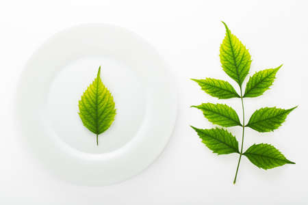 Green fresh leaves and ceramic plate isolated on white backgroundの写真素材