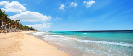 Exotic Beach and ocean waves Macao, Dominican Republic, Punta Canaの写真素材
