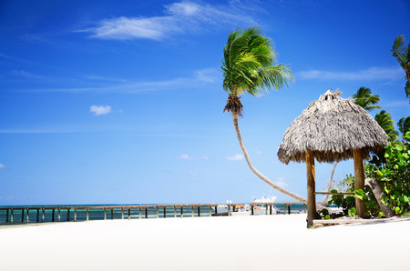 Exotic Beach in Bavaro, Dominican Republic, Punta Canaの写真素材