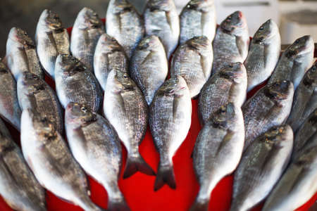 Fresh fish background, fishes in the street marketの写真素材