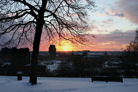 A sunset over the city of Providence, RI, USA. Winter atmosphere with the silhouette of a tree.の写真素材
