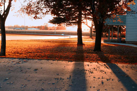 A sunset in the rural midwest in fall. THe last rays of the setting sun blinding the casual observer.の写真素材