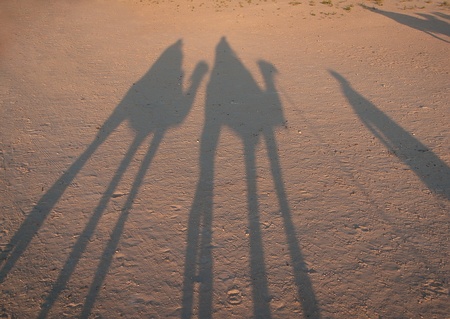 Shadows of riders on camels in the Sahara desertの写真素材
