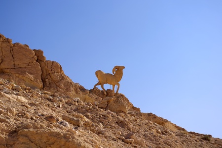 Monument of mountain sheep in the hills of Tunisiaの写真素材