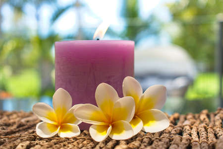 Serenity with scented candle and plumeria flowersの写真素材