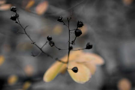 From the canvas to realityの写真素材