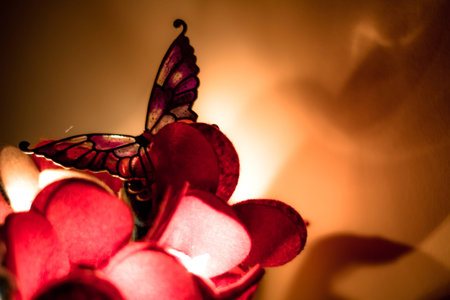 The butterfly effectの写真素材