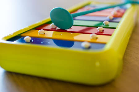 A small xylophone for children, in the scale of C.の写真素材