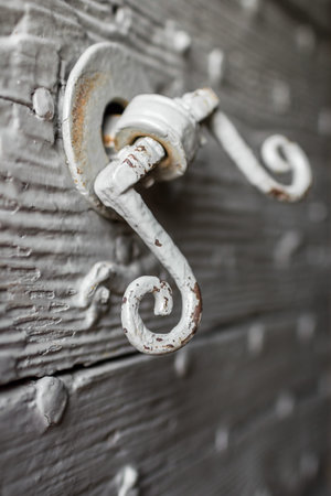 Extreme close-up of a rusty knocker on an old door.