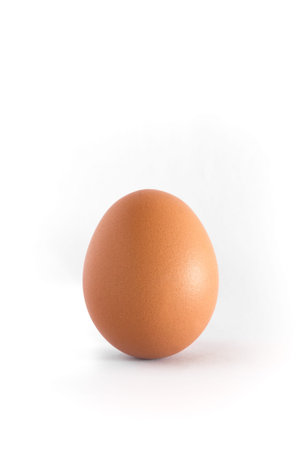 Single egg on white background vertical.