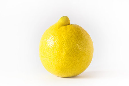 Close up of a single lemon on a white background.