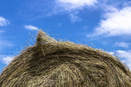 Close up top of a bale of hay with blue sky and clouds in the background.の写真素材