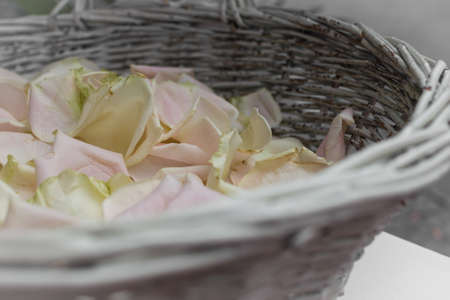 A wicker basket containing rose petals.の写真素材