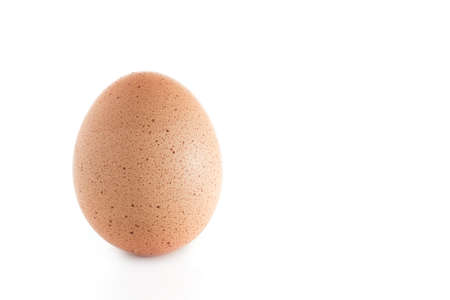 Single brown chicken egg isolated on whiteの写真素材