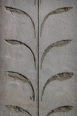 Fishes shape line of fresh concrete, on wall background.