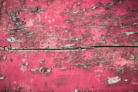 Fuchsia background. Old paint cracked on a wooden planks.の写真素材