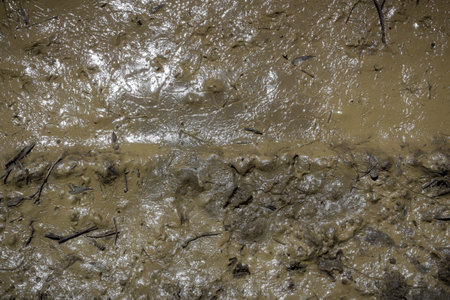 Texture of mud. Wet dirt. Puddle.