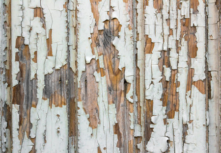 Wooden wall with white paint is severely weathered and peelingの写真素材