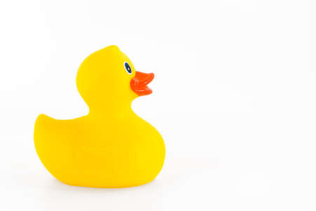 Cute yellow rubber duck isolated over white backgroundの写真素材