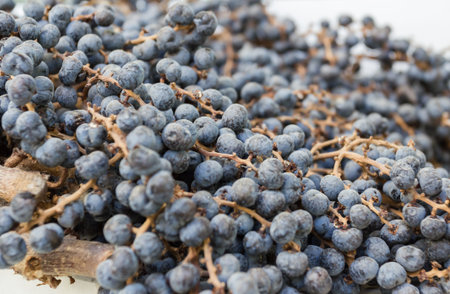 Extreme closeup of dry blueberries. Shallow depth of field.の写真素材