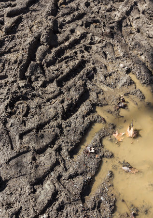 Tire tracks into the mud. Texture of wet brown mud with car tyre tracks.