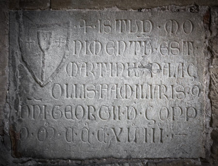Old cracked stone with latin inscriptions and emblem