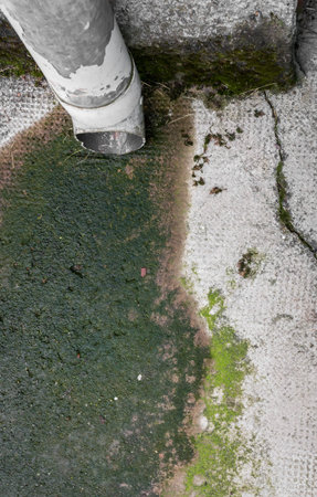 View from above of a gutter with green mossy drainage, on a old wall.の写真素材