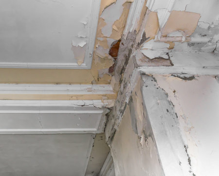 Peeling paint on an interior ceiling a result of humidity