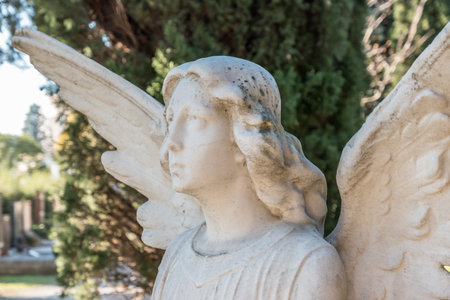 Vintage statue of a sad angel against the background of leavesの写真素材
