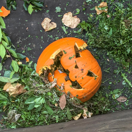 Broken halloween pumpkin abandoned on the roadの写真素材
