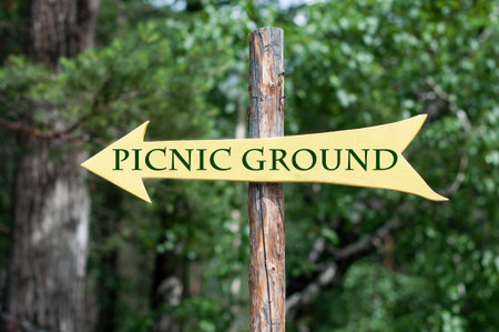 A pointer to the column in the woodsの写真素材