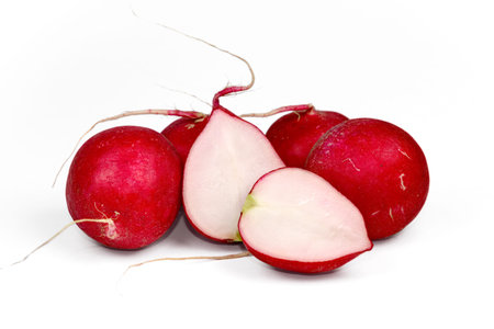 Small garden radish isolated on white background cutoutの写真素材