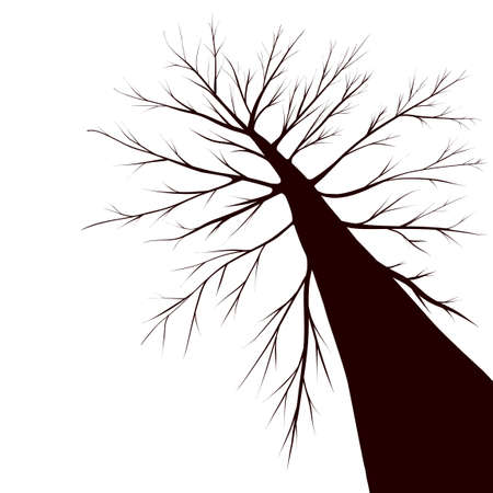 tree silhouette のイラスト素材