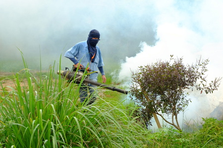 Chiang rai, Thailand - June 10, 2018: Spray mosquito repellent , Government officials are spraying mosquitoes that cause Dengue hemorrhagic fever (DHF) in the coming rainy season.のeditorial素材