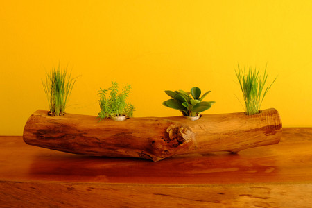 Ornamental plants are planted in pots made of logs and yellow backdrops.の写真素材