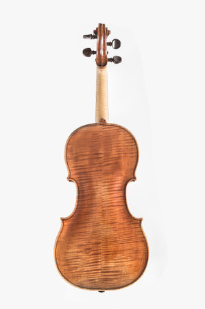 Backside of a violin isolated on white background.の写真素材
