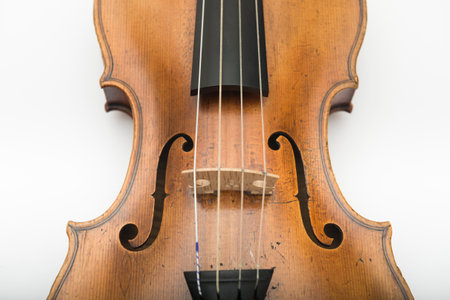 Close up of violin bridge with f-holes.の写真素材