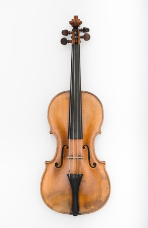 Violin isolated on white background.の写真素材