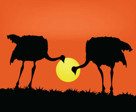 Two ostriches against the coming sunのイラスト素材