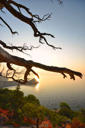 Beautiful seascape. Sea and rock at the sunset.の写真素材