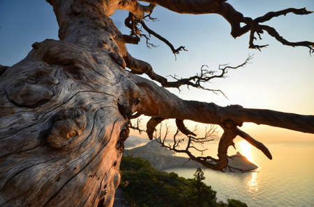 Beautiful seascape. Sea and rock at the sunset.の写真素材