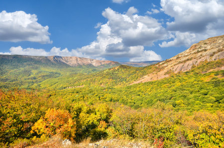 mountain landscape and woodland. natural compositionの写真素材