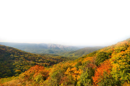 mountain landscape and woodland. natural compositionの写真素材