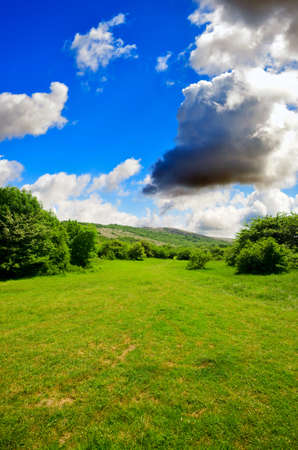 lawn with green grass, lush mountains in the backgroundの写真素材