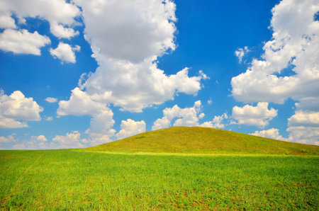 field with green grass in the sunny sky backgroundの写真素材