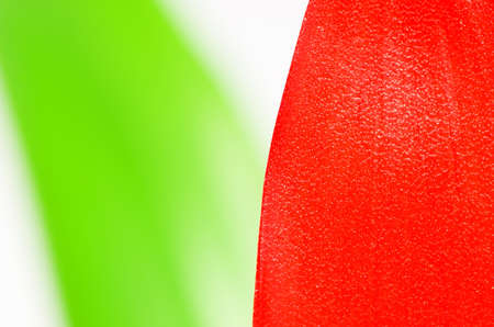Macro of red petals on green leafの写真素材